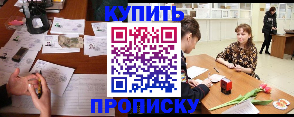 купить прописку в Мурманской области